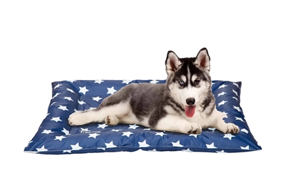 Picture of Freedog Cooling Cushion Sky - 100% recycled